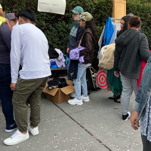 Meet your Posher, Iris - Picture 8 of 8